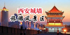 女人肏骚逼视频中国陕西-西安城墙旅游风景区